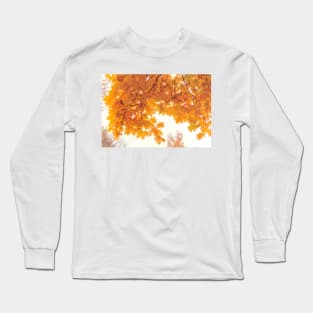 Golden maple leaves in autumn season Long Sleeve T-Shirt